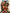 Faces Series 2025