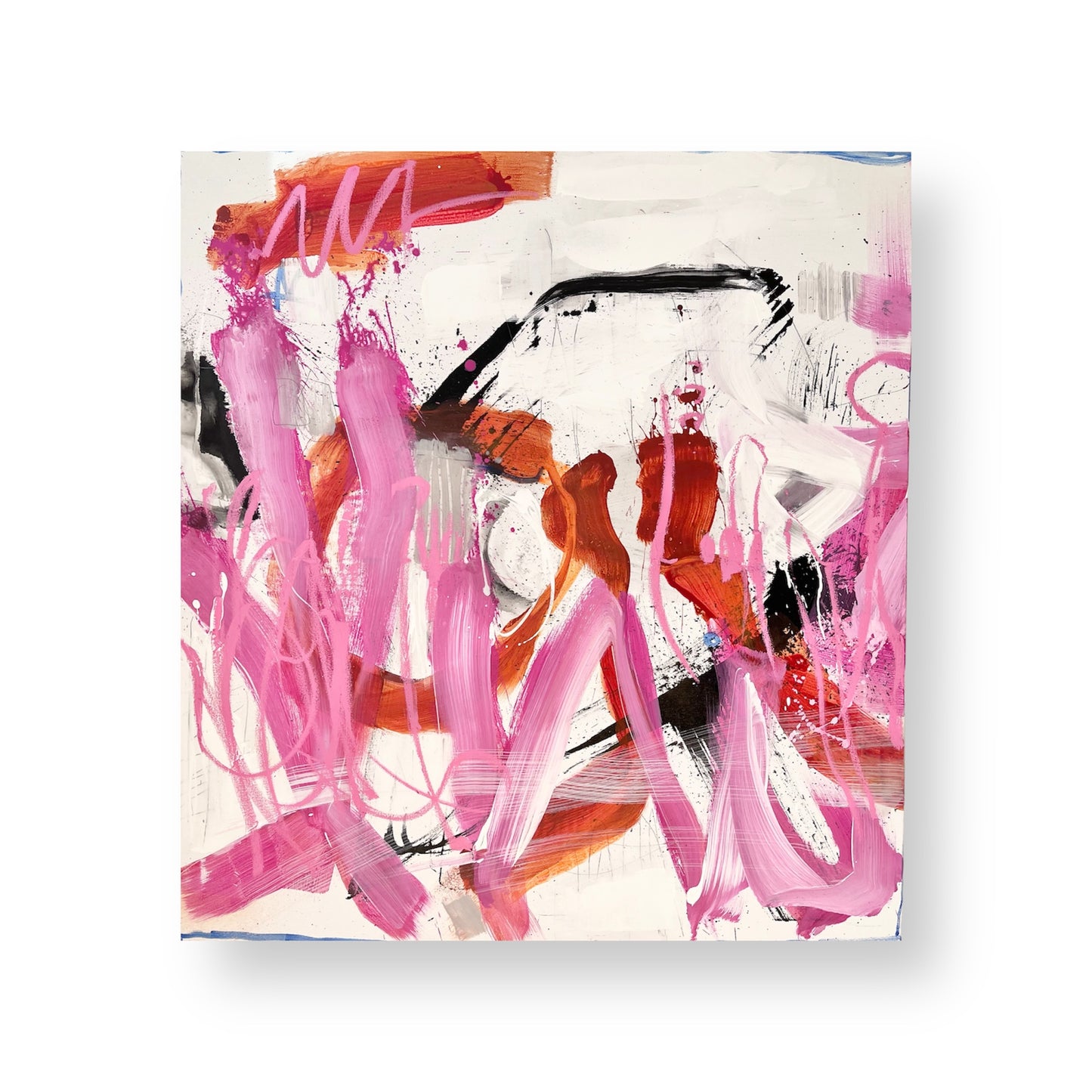 The return of the flamingos (Part 2)