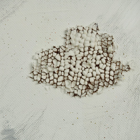 Selfie With Cloud (2014)